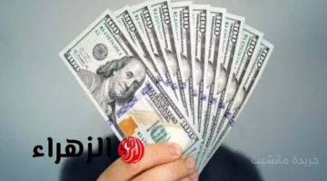 مستوى جديد.. سعر الدولار مقابل الجنيه اليوم 5 أكتوبر بالبنوك المصرية 1